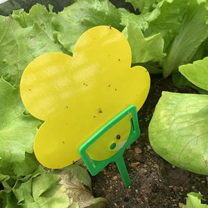 Trampas Adhesivas para Mosquitos de Plantas, Trampas Adhesivas Amarillas de Doble Cara para Moscas de la Fruta, Atrapa <span class=keywords><strong>Insectos</strong></span> para Exteriores, para Mosquitos e <span class=keywords><strong>Insectos</strong></span> Voladores - Product Image 4