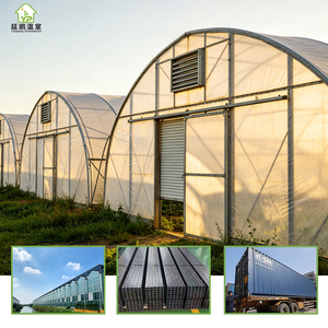 Serres agricoles multi-chapelles à structure en acier et abri en plastique pour la culture de légumes à domicile - Product Image 1