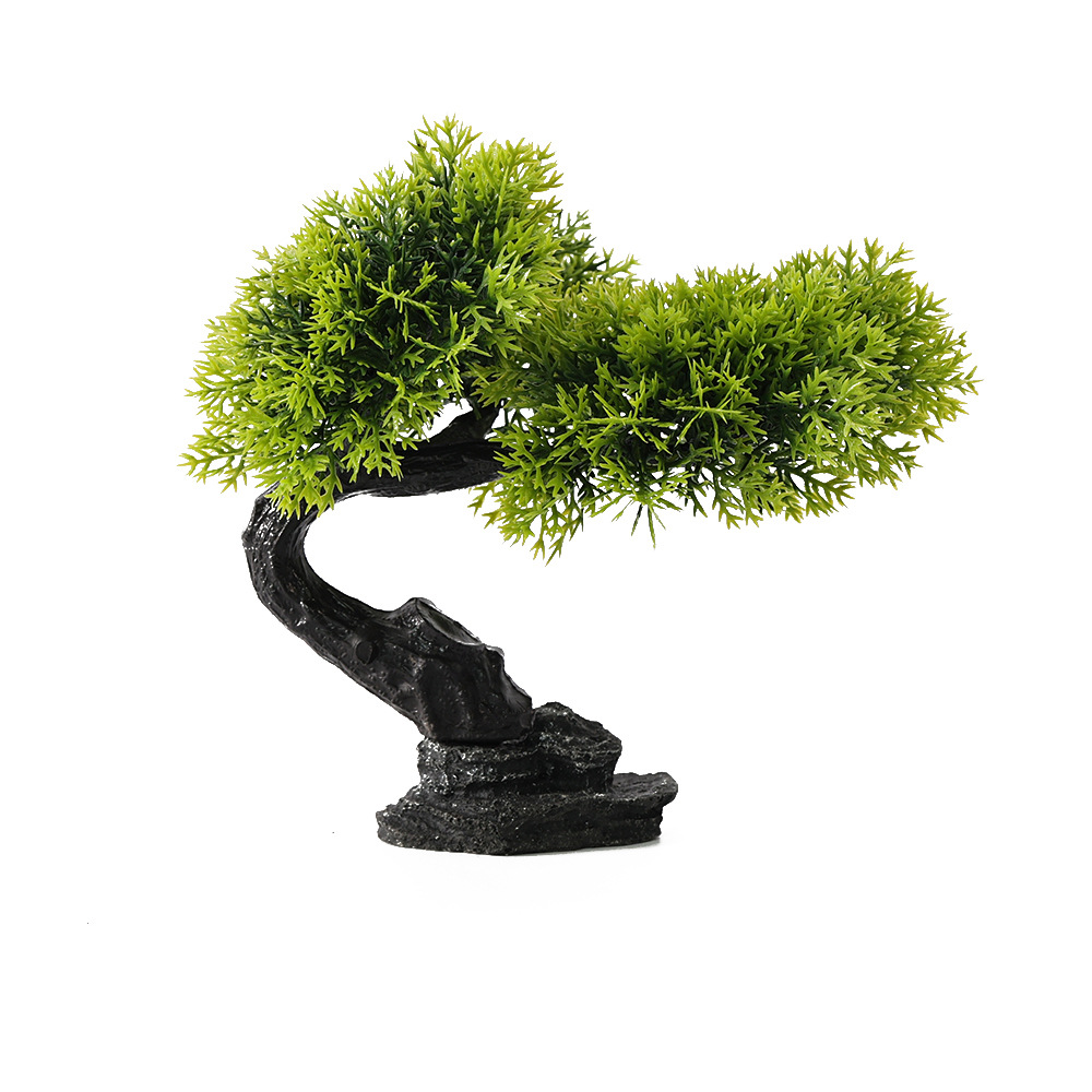 Single Cliff Cypress Pine Green