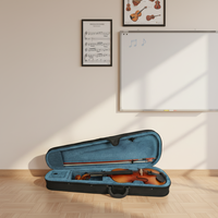 Wholesale Professional Musical Instruments High Quality Glossy Basswood Violin Set With Case and Bow
