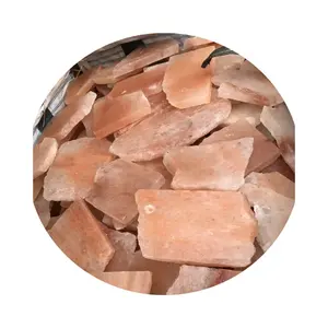Himalayan Salt Tile Shape plate Biplanar Irregular Salt Bricks Natural For Therapy Room