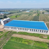Bâtiment en structure métallique pour entrepôt industriel, atelier et construction d'usine, structure préfabriquée sur mesure