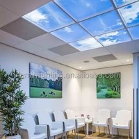 Température de couleur réglable Motif personnalisé Décor de bien-être Plusieurs tailles Rond Carré WiFi Sky Panel Light