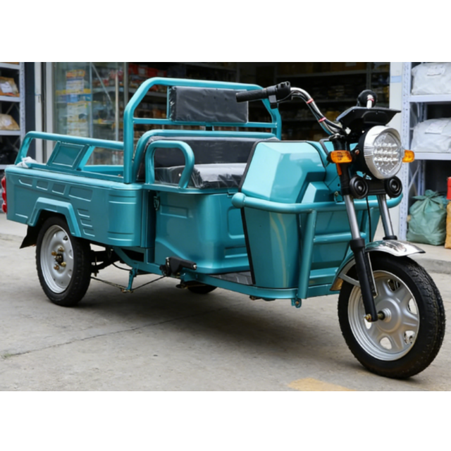 Certified CE 45km/h Top Speed Cargo Trike EEC COC 3-Wheel Electric Tricycle 50-70km Range E-Rickshaw