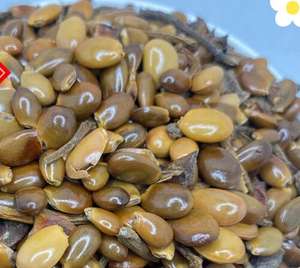 1kg di <span class=keywords><strong>Semi</strong></span> di <span class=keywords><strong>Anice</strong></span> Stellato Naturale Essiccati Grezzi <span class=keywords><strong>in</strong></span> Vendita - Product Image 3