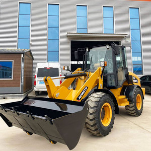 Chargeuse sur pneus de marque chinoise avec godet de 2T 2.5T, moteur et roulements en bon état - Product Image 1