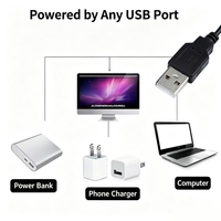 Tira de Luces LED RGB COB USB de 5V, Cinta Flexible Autoadhesiva, Control Remoto IR por Aplicación, IP20, Decoración para TV, PC, Escritorio y Juegos
