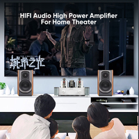 BRZHIFI AUDIO A20 Amplificador Valvula Amplificateur Amplificateur audio à tube Amplificateur à tube de classe a à une extrémité