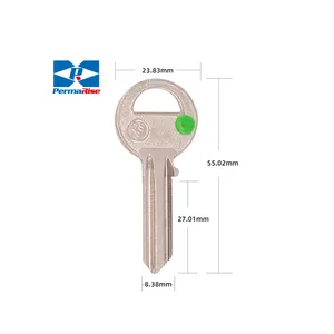 Hot Sale Customizes Door Key with Plastic Head