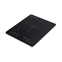 Mini cuiseur à Induction Portable, w, Mini cuiseur à Induction, grande puissance, bon prix