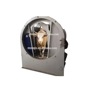 Factory Directly sell Cattle Abattoir Slaughter Plant|Cow Muslin Style Killing Box For Beef Processing Line for Cattle Slaughter