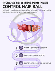 Fabrika Doğrudan Tedarik Özel Logo Ücretsiz Numune Besleyici Dengeli Yüksek Proteinli 10 kg Kedi Kuru Maması - Product Image 6