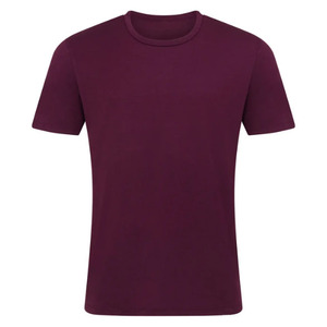 Camiseta de <span class=keywords><strong>lana</strong></span> <span class=keywords><strong>Merino</strong></span> 100% para <span class=keywords><strong>hombre</strong></span>, camiseta transpirable de peso ligero, 150gsm, 160gsm, 170gsm, camiseta Vintage de hilo de una sola capa para <span class=keywords><strong>hombre</strong></span> - Product Image 2