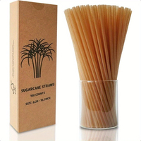 Pailles à boire en bagasse de canne à sucre biodégradables personnalisées Paille en plastique de remplacement jetable pour