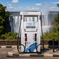 Surtidor de Combustible Bluesky para Gasolinera en Zimbabue, Doble Bomba, Alta Precisión, Amplio Rango de Flujo, Equipo de Servicio para Estaciones de Servicio