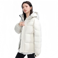Veste décontractée pour homme, personnalisée, très vendue, imperméable, grande taille, à capuche, chaude, coupe-vent, durable, noire, grise, respirante