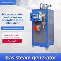 Generator Uap Berbahan Bakar Gas 0,5 Ton untuk Pengolahan Makanan, Pemanasan, Penggunaan Medis, Otomatis Penuh, Boiler Ultra-Rendah Nitrogen dengan Pengaman Suhu Berlebih