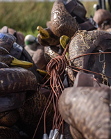 Ensemble de pêche durable Texas Rig de 4 pieds et 6 onces pour leurres de canard, conçu pour une chasse efficace au canard en extérieur