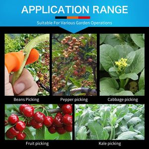 Protecteur de doigt en silicone avec lame en acier inoxydable pour la découpe des légumes, outil de <span class=keywords><strong>cuisine</strong></span>, couteau pour le <span class=keywords><strong>pouce</strong></span> - Product Image 5