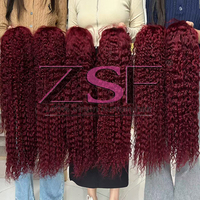 # Perruque longue et droite 99J Ombre Rouge Bourgogne, Perruques Lace Front HD Transparentes 13x6 en Cheveux Humains, Nœuds Pré-Décolorés, pour Femmes Noires