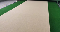 Revêtement de sol synthétique pour terrains de pickleball, de tennis et de cricket, haute performance, écologique, pour l'intérieur et l'extérieur, professionnel