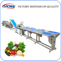 Industriële automatische roestvrijstalen 304 turnkey complete machines voor het vriesvoorraad van groenten en fruit, zoals broccoli, sperziebonen en aardbeien