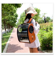 Sac de transport transparent multi-couleurs de haute qualité, nouveau style, grande capacité, sac à dos pour chat type capsule spatiale, tendance pour oiseaux