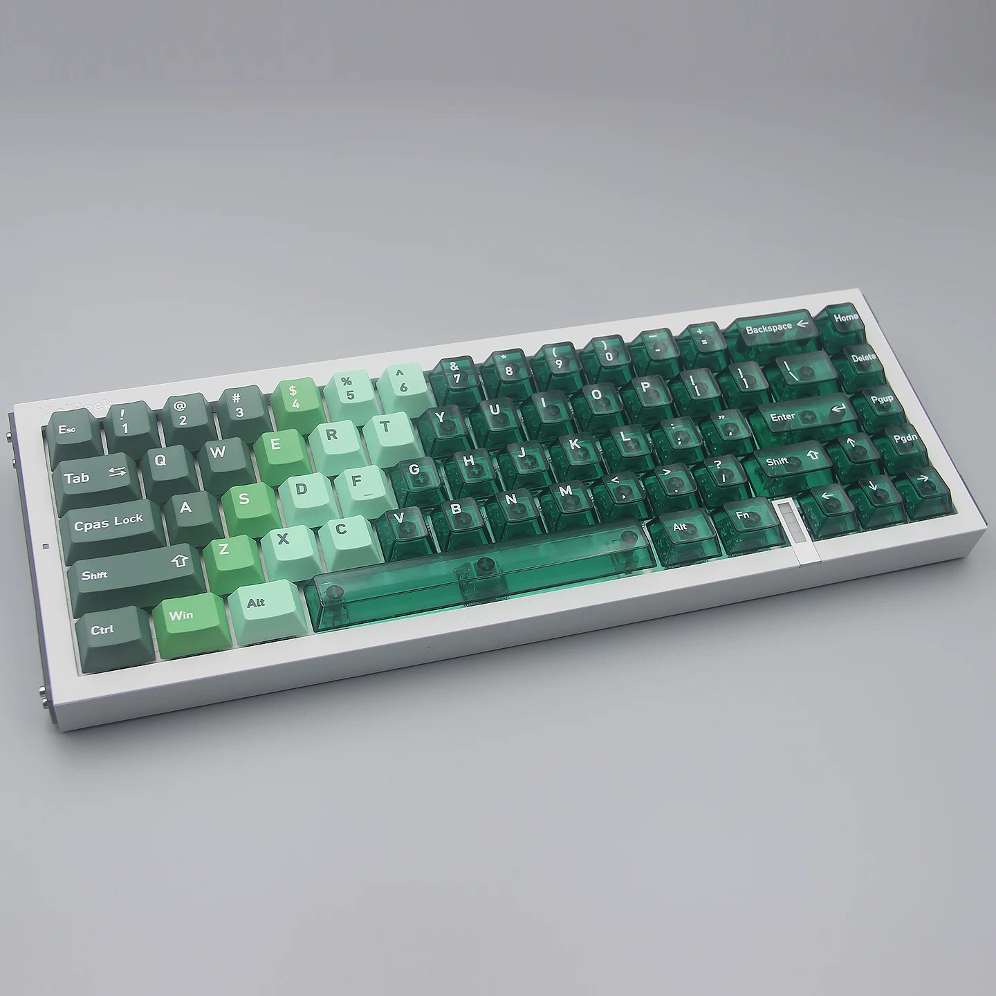 Conjunto pequeño verde pavo real