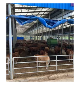 Paneles de Cerca Redondos para Caballos y <span class=keywords><strong>Corrales</strong></span> de Ganado de Acero al Carbono Galvanizado de 6 Pies, Estilo Europeo, para Uso en Granjas y Pastos, Venta al Por Mayor - Product Image 3