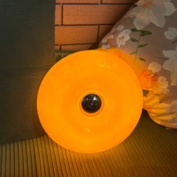 Lampe de table en verre rechargeable en forme de donut de 30 cm, applique murale LED à commande tactile pour chambre à coucher et salon