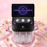 Machine professionnelle d'hydrodermabrasion à jet d'oxygène Lmns pour le traitement de l'acné, anti-âge, élimination des rides, soin du visage