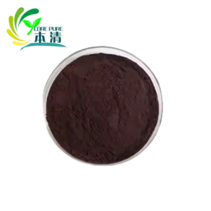 Polvo de extracto de <span class=keywords><strong>cacao</strong></span> de alta calidad al por mayor de fábrica 20%-40% polvo de polifenoles de <span class=keywords><strong>cacao</strong></span> - Product Image 2