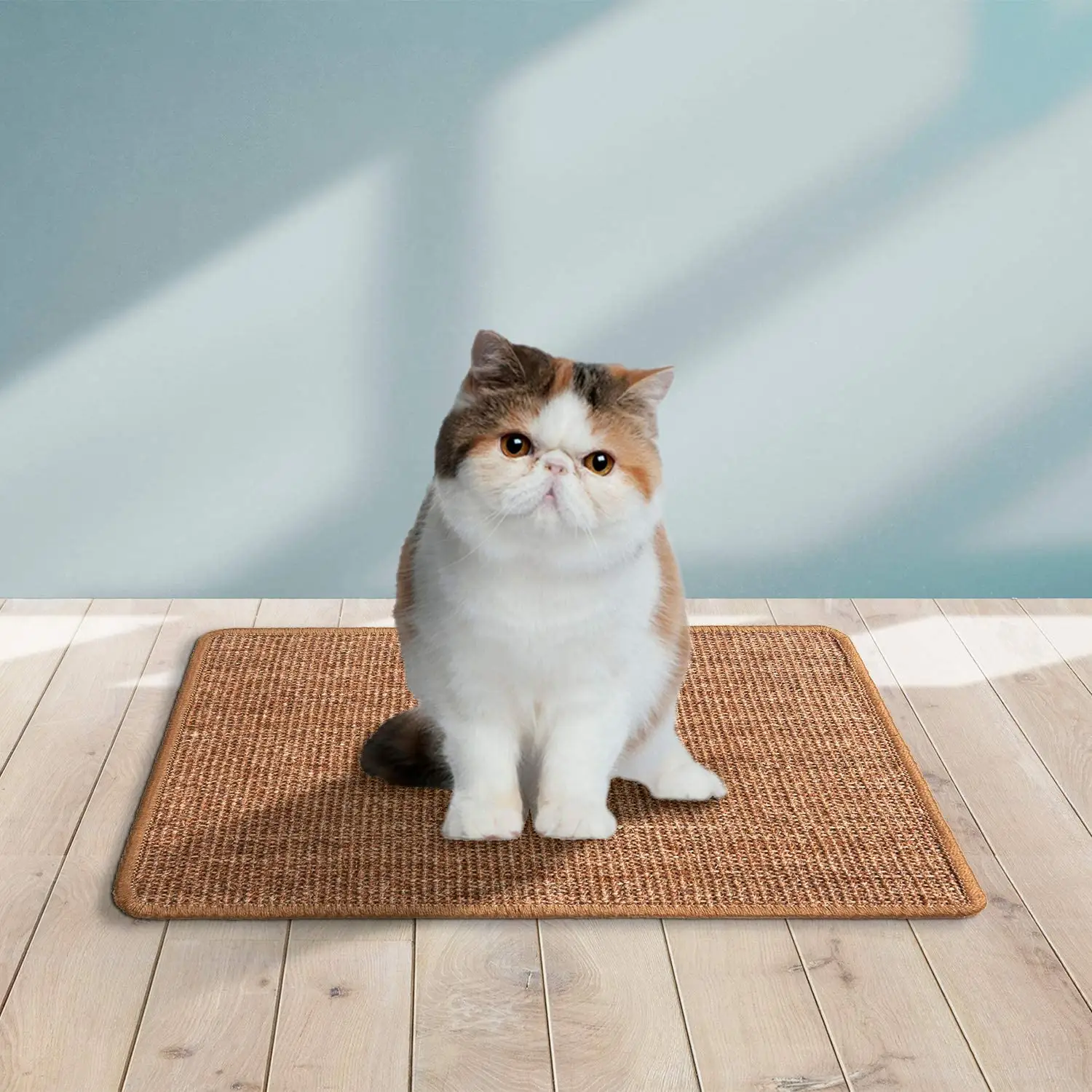 Tikar goresan kucing, tikar Sisal alami, melindungi karpet dan sofa