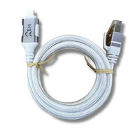 Cable Ethernet de 1Gbps a RJ45 conectado directamente, cable convertidor de red Gigabit USB 3,1 C a LAN, USB a LAN