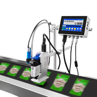 Impresora de Inyección de Tinta Automática en Línea a Precio Económico, Fabricante de Impresoras de Inyección de Tinta TIJ para Códigos de Fecha de Caducidad y Lotes