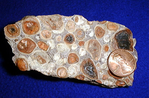 Bauxite calcinée à haute teneur en Al2O3, qualité industrielle, approvisionnement en usine, vente en gros, matériau en vrac provenant d'un exportateur indien - Product Image 2