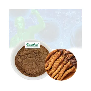 Чистый порошок из экстракта Кордицепса Rainwood, порошок из экстракта Кордицепса Dong chong xia cao, гриб Кордицепса китайского, 10% 30% - Product Image 1