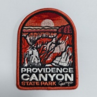 ZT-E-0046 Patchs brodés personnalisés en fer à repasser, grand aigle indien, ensembles cadeaux, patch brodé en relief 3D pour motard