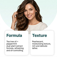 Shampoo à l'huile d'arbre à thé et à la menthe poivrée, nettoyage rafraîchissant pour le cuir chevelu et les cheveux, léger et volumineux