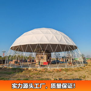 Domo geodésico transparente personalizado de 20 m de diámetro para eventos al aire libre y restaurantes, estructura de PVC para las cuatro estaciones. - Product Image 5