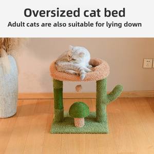 Kaktüs Kedi Ağacı Tırmalama Direği Yatak Hepsi Bir Arada Küçük Sisal MX48 Karton Kaynak Fabrika Sınır Ötesi Dış Ticaret Toptan Satış - Product Image 2