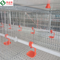 Vente Chaude : Mangeoire Automatique pour Poulets, Équipement d'Élevage Avicole, Cage à Batterie pour Poulets de Chair (10 000 Poulets), Haute Qualité