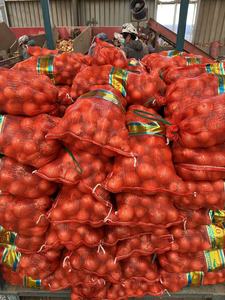 Cebolas Novas Colheita Da China Melhor Preço Vermelho Cebola Amarela Fábrica Exportação Direta Cebola Seca 50lb Bag - Product Image 4