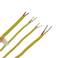 MICC Typ K Hitzebeständiges Glasfaser-Geflecht Edelstahl-Abschirmung Thermoelement-Verlängerungskabel Premium Elektrokabel