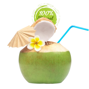 Noix de coco fraîches écologiques-Choix durable pour l'exportation - Product Image 6