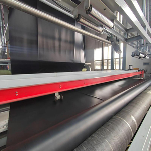 Vente chaude de géomembrane en HDPE, doublure personnalisée, tous types de géomembranes, prix de haute qualité, durable, prix d'usine, géomembranes - Product Image 4