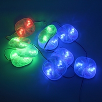 Nuevos Accesorios para Autos, Módulo Estroboscópico LED 2026 de 12v, Luces Intermitentes Laterales Redondas de Color Rojo, Azul y Verde