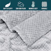 Couverture d'hiver en flanelle d'ananas à carreaux doux pour la maison de luxe personnalisée King Size Polyester Coral Fleece Home Textiles Caractère