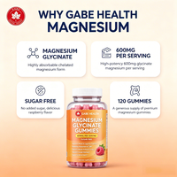 Gummies de glycinate de magnésium OEM Private Label 60 mg sans sucre, saveur framboise, 120 unités, pour l'humeur, la relaxation et le calme chez l'adulte, personnalisables
