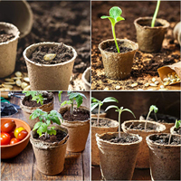 Pots de semis biodégradables en pulpe de bois à paroi simple, compostables, pour fruits et légumes, écologiques, pour pépinières (vente en gros)